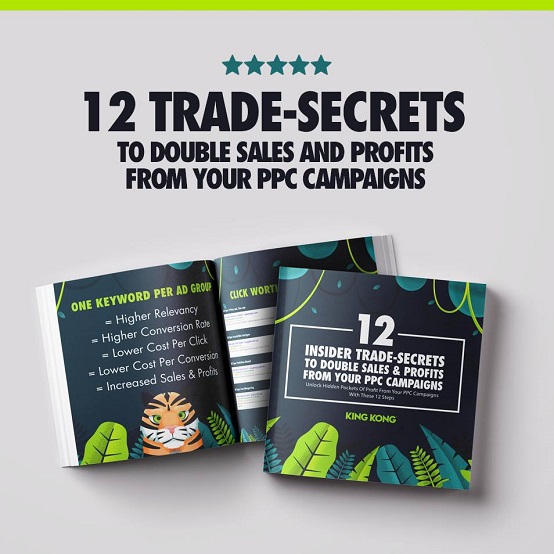 king kong Digital Agency